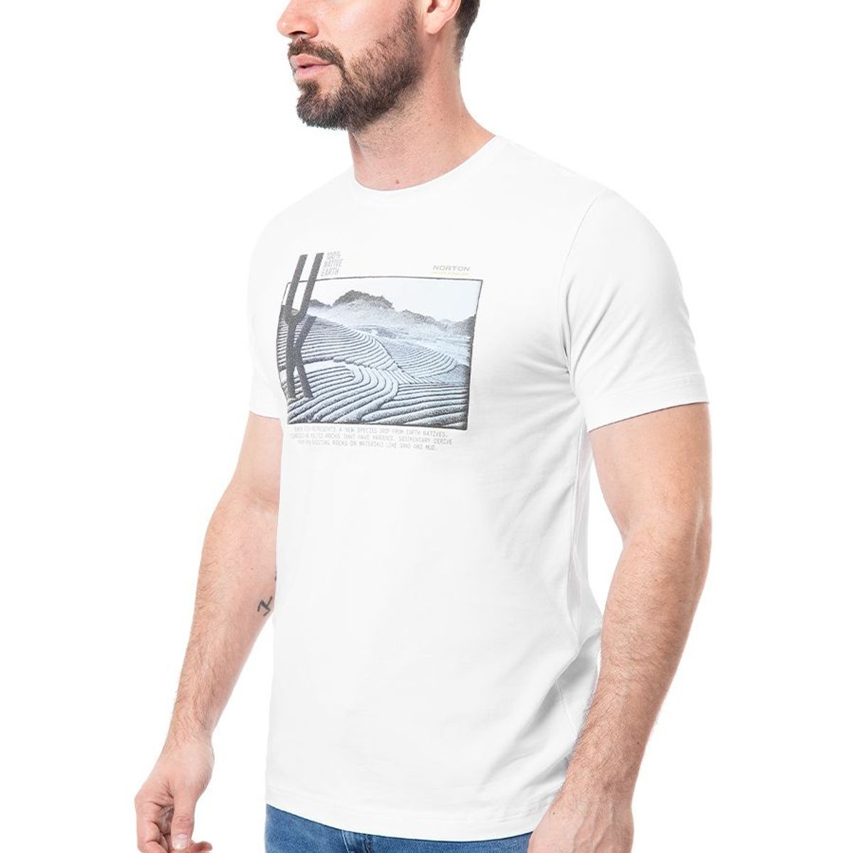 NORTON - Polo Moda Jersey Hombre Lollipop