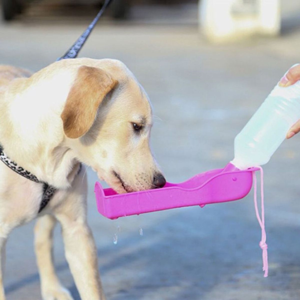 GENERICO - BOTELLA BEBEDERO PLEGABLE DE AGUA PORTATIL PARA MASCOTA ROSA
