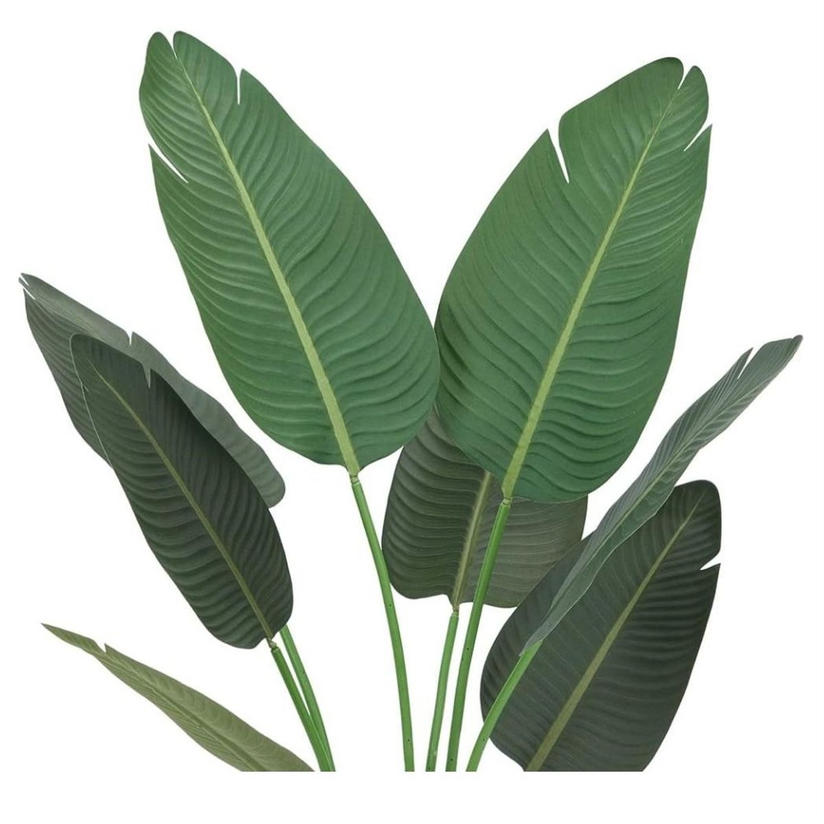 GENERICO - Planta artificial modelo hoja de plátano 1.80 m.