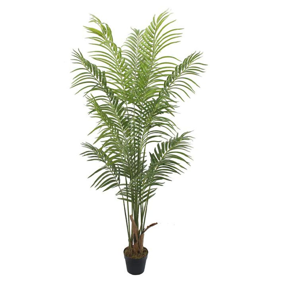 GENERICO - Planta artificial modelo palmera 1.80 m.