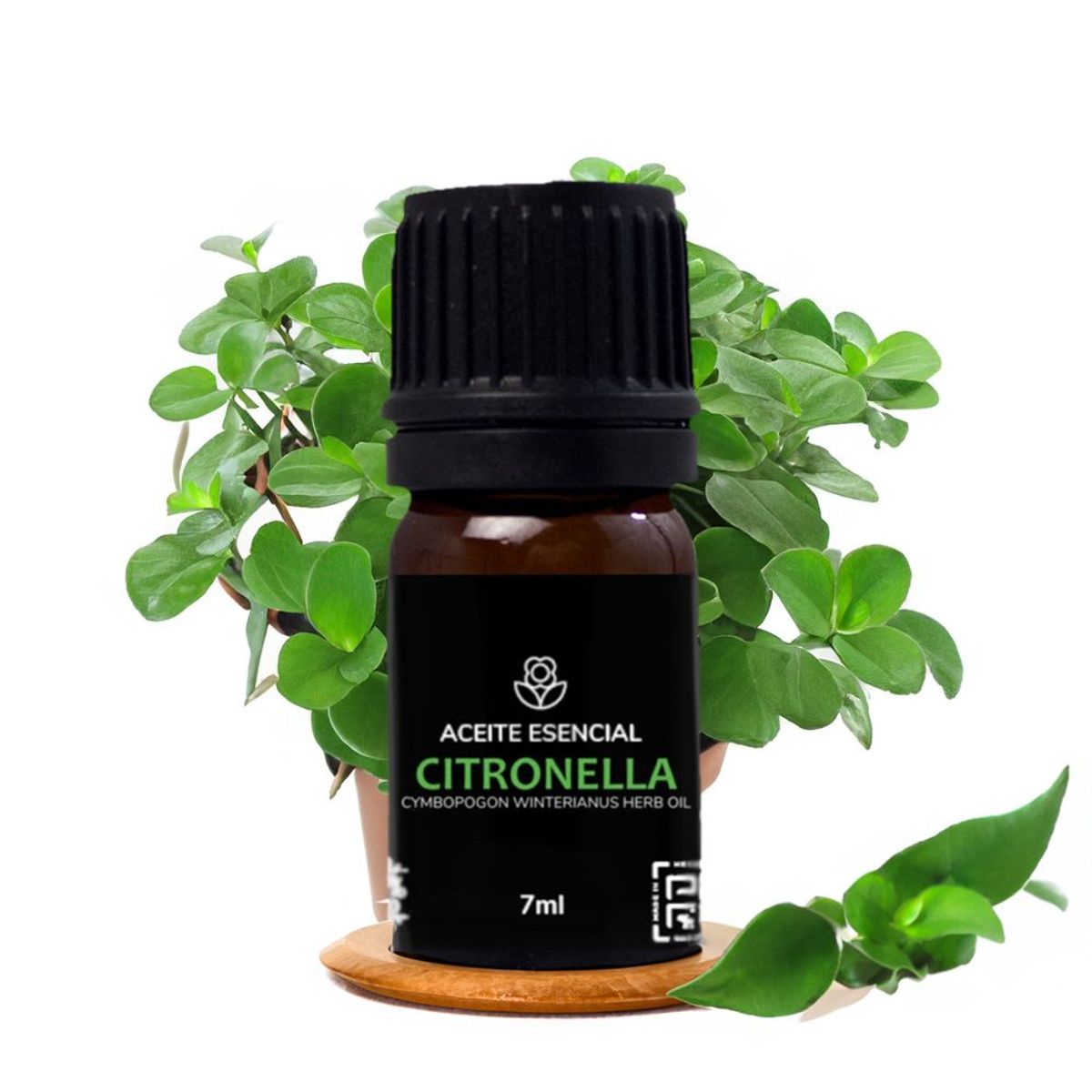 GENERICO - Aceite Esencial de Citronela