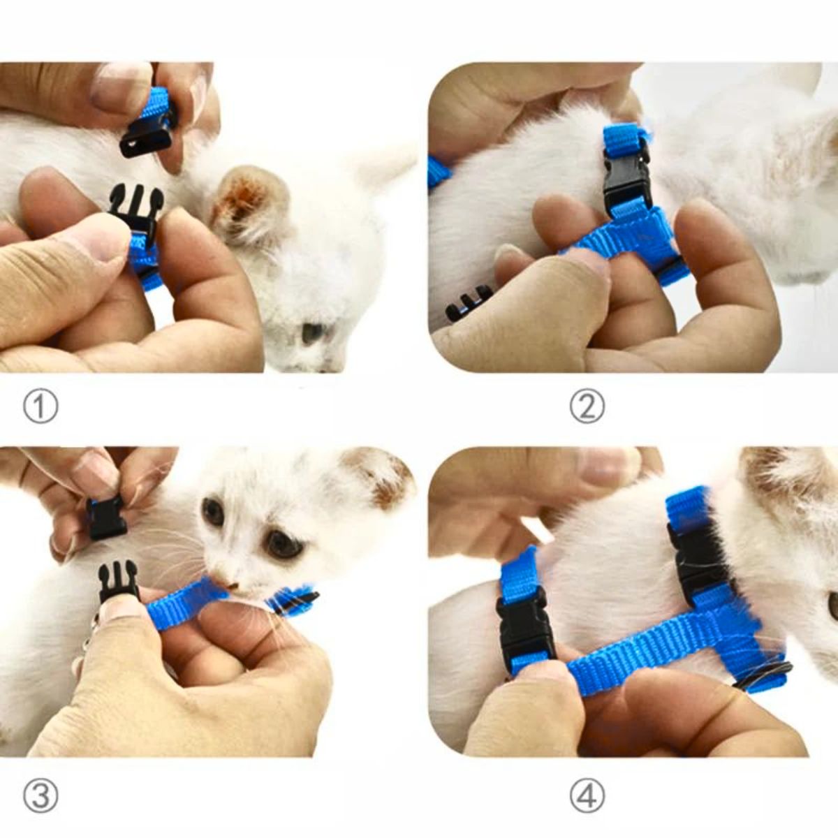 GENERICO - ARNES CON ALAS Y CORREA TALLA S - AZUL