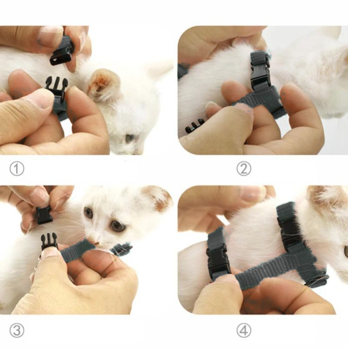 GENERICO - ARNES CON ALAS Y CORREA TALLA S - NEGRO