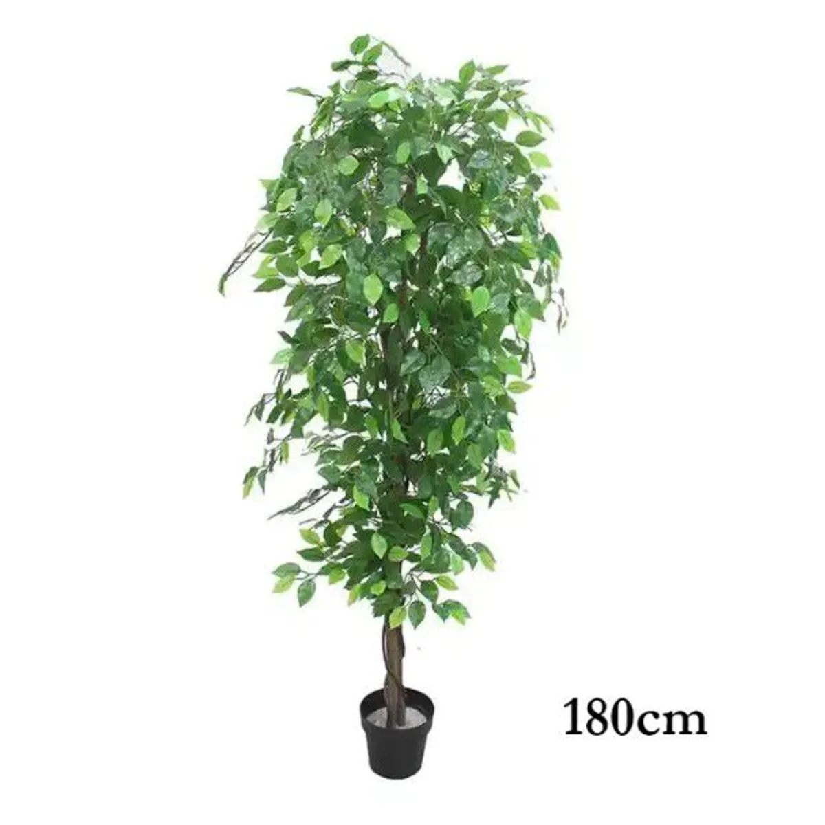 GENERICO - Planta artificial verde 1.80 m.