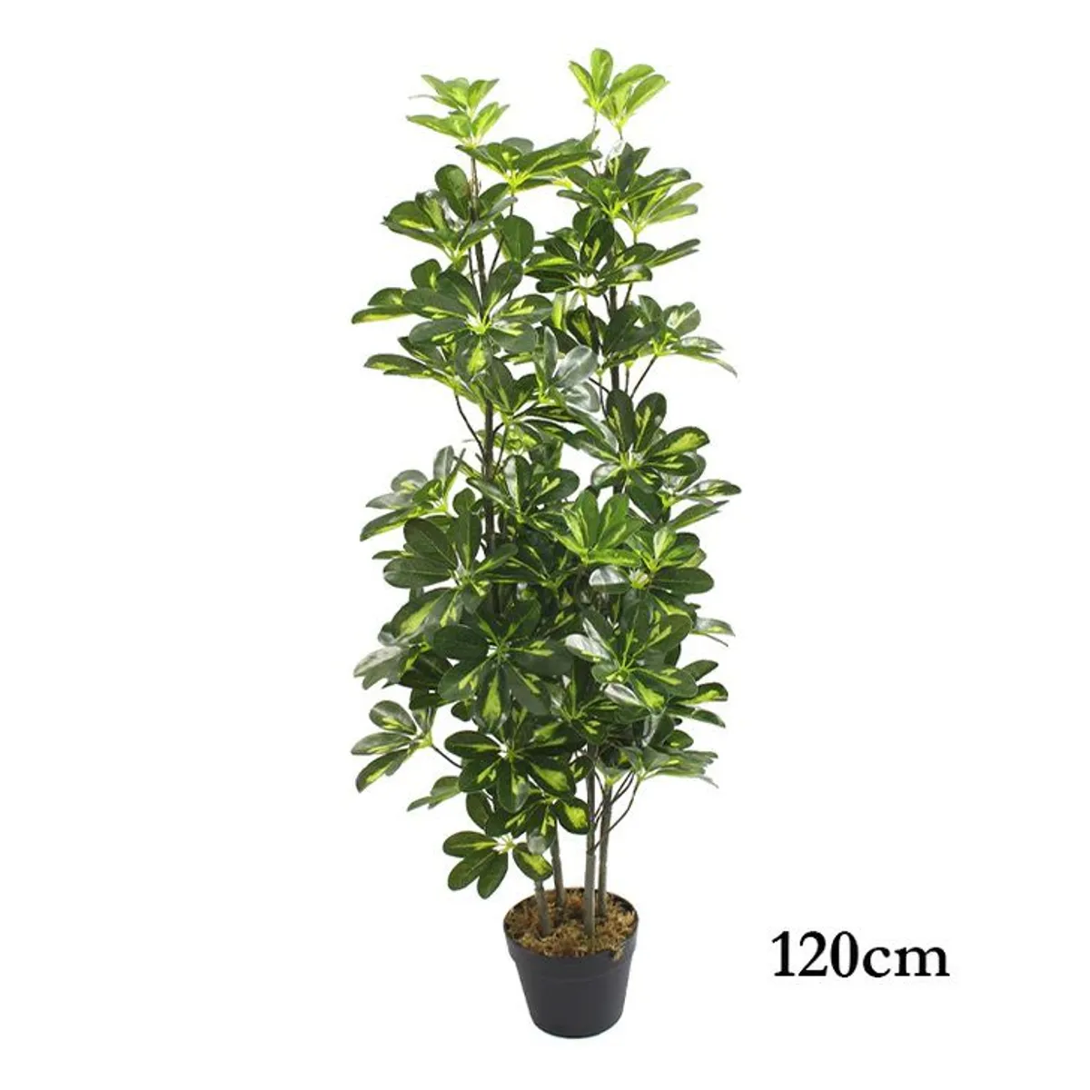 GENERICO - Planta artificial verde 1.20 m.