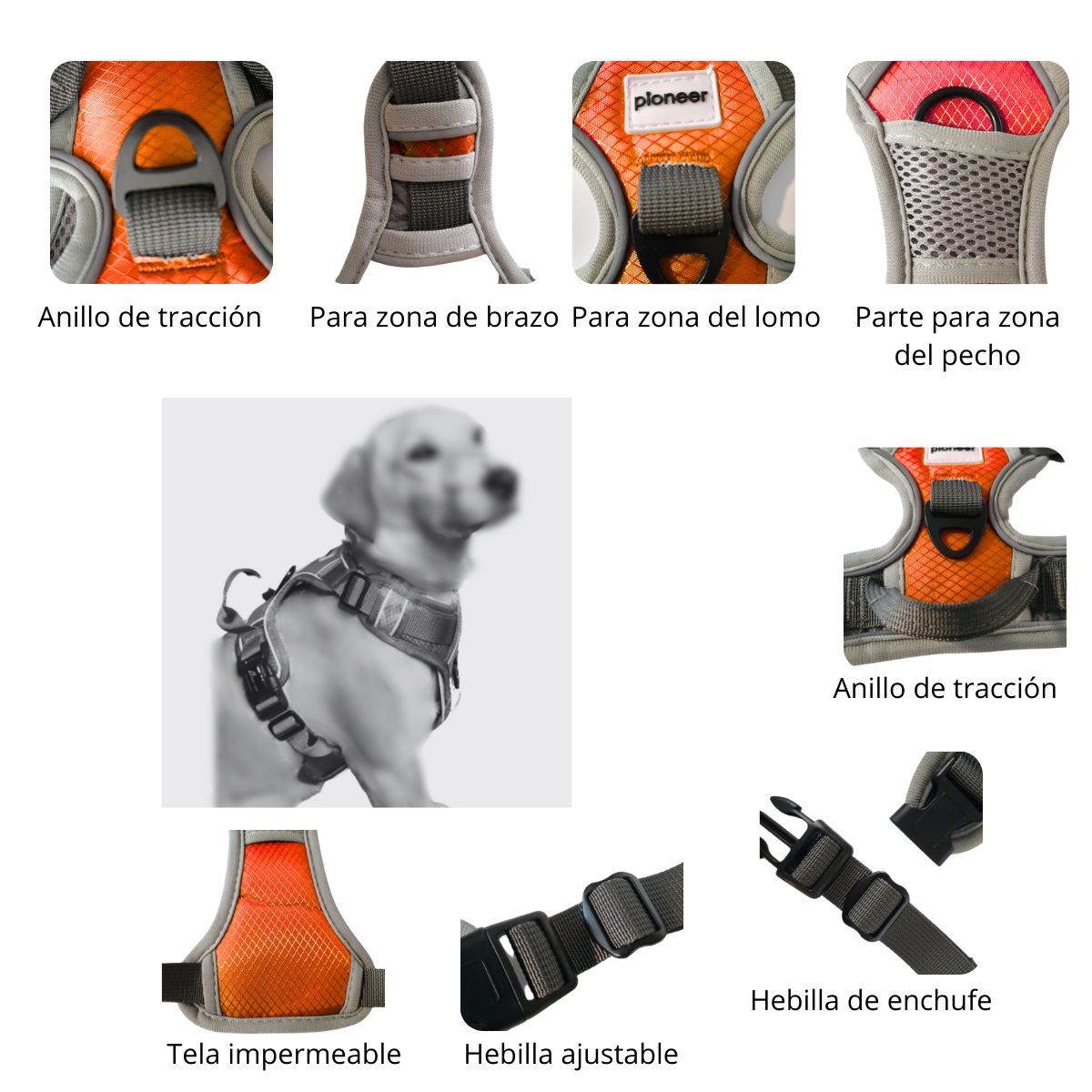 GENERICO - PECHERA CON ASA DE CONTROL Y CINTURÓN DE SEGURIDAD NARANJA