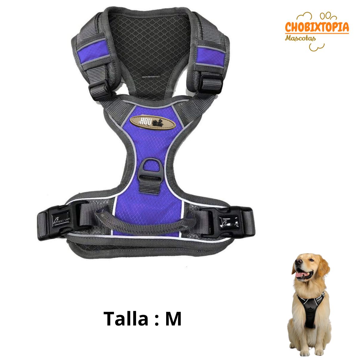 GENERICO - PECHERA CON ASA DE CONTROL Y CINTURÓN DE SEGURIDAD PURPURA-M