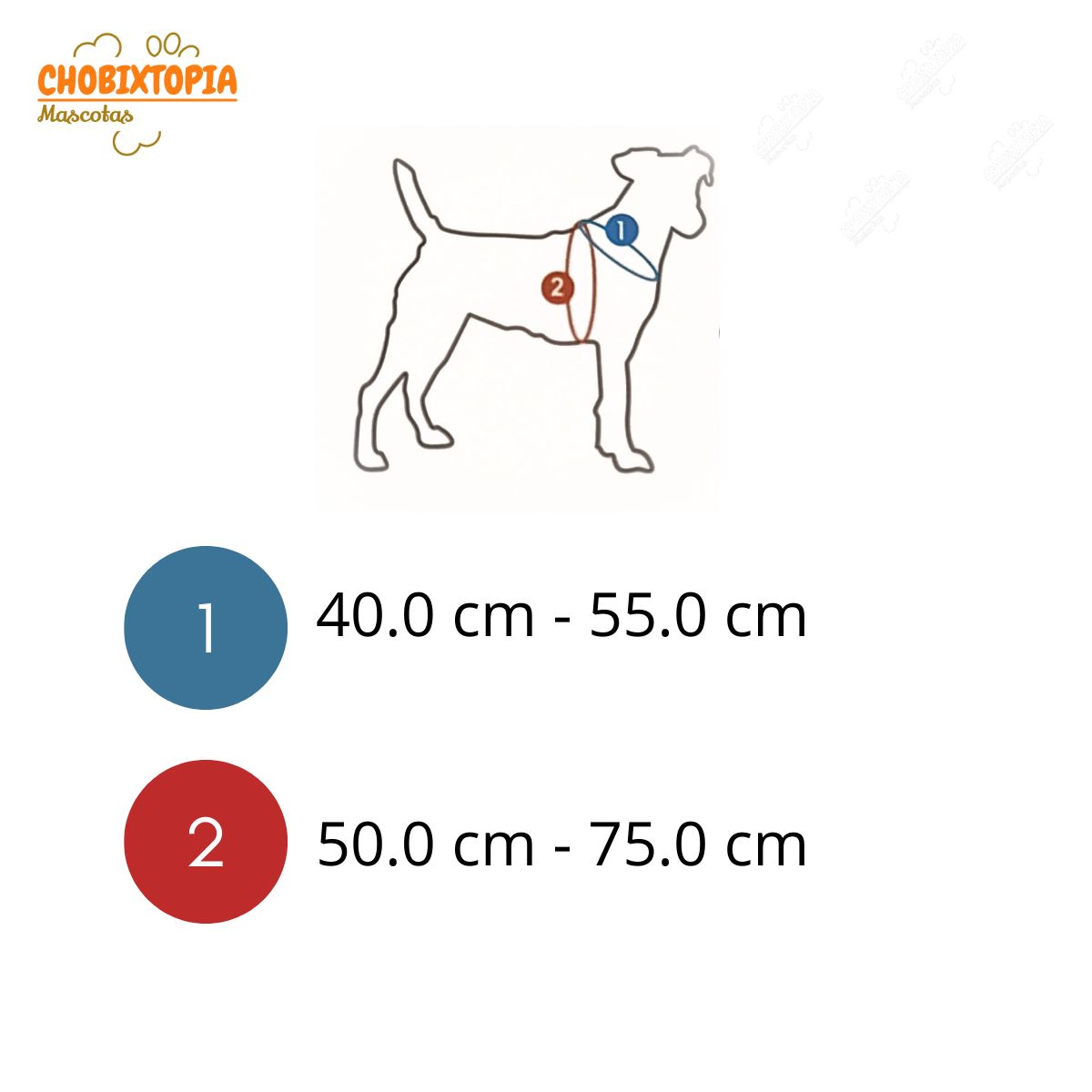 GENERICO - PECHERA CON ASA DE CONTROL Y CINTURÓN DE SEGURIDAD PURPURA-M