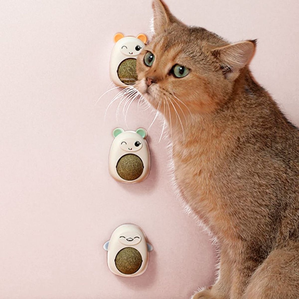 GENERICO - Juguete Bolita de Catnip para Gatos