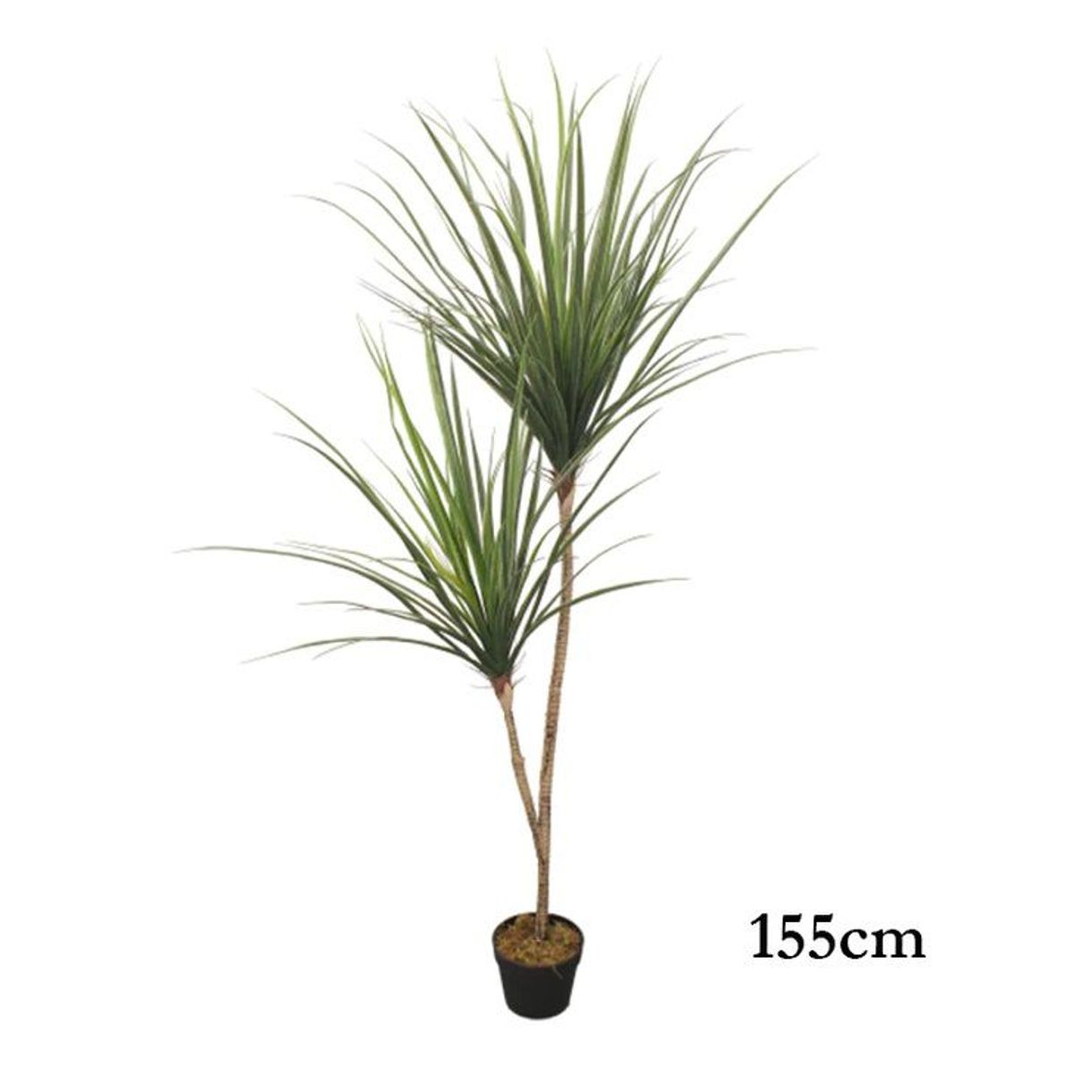 GENERICO - Planta artificial verde 1.55 m.