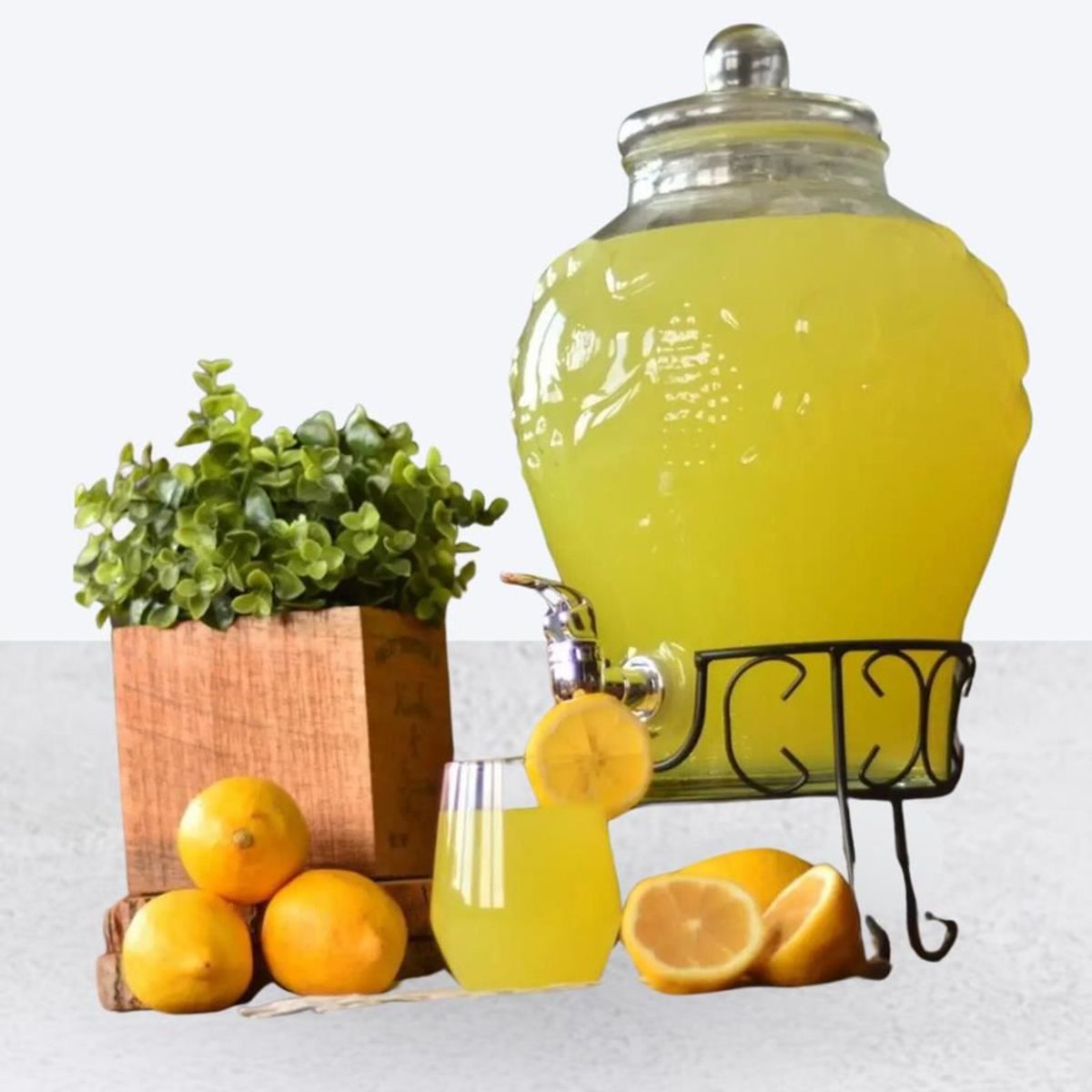 ICHIMATSU - Dispensador de Agua 6Lt de Vidrio con Base