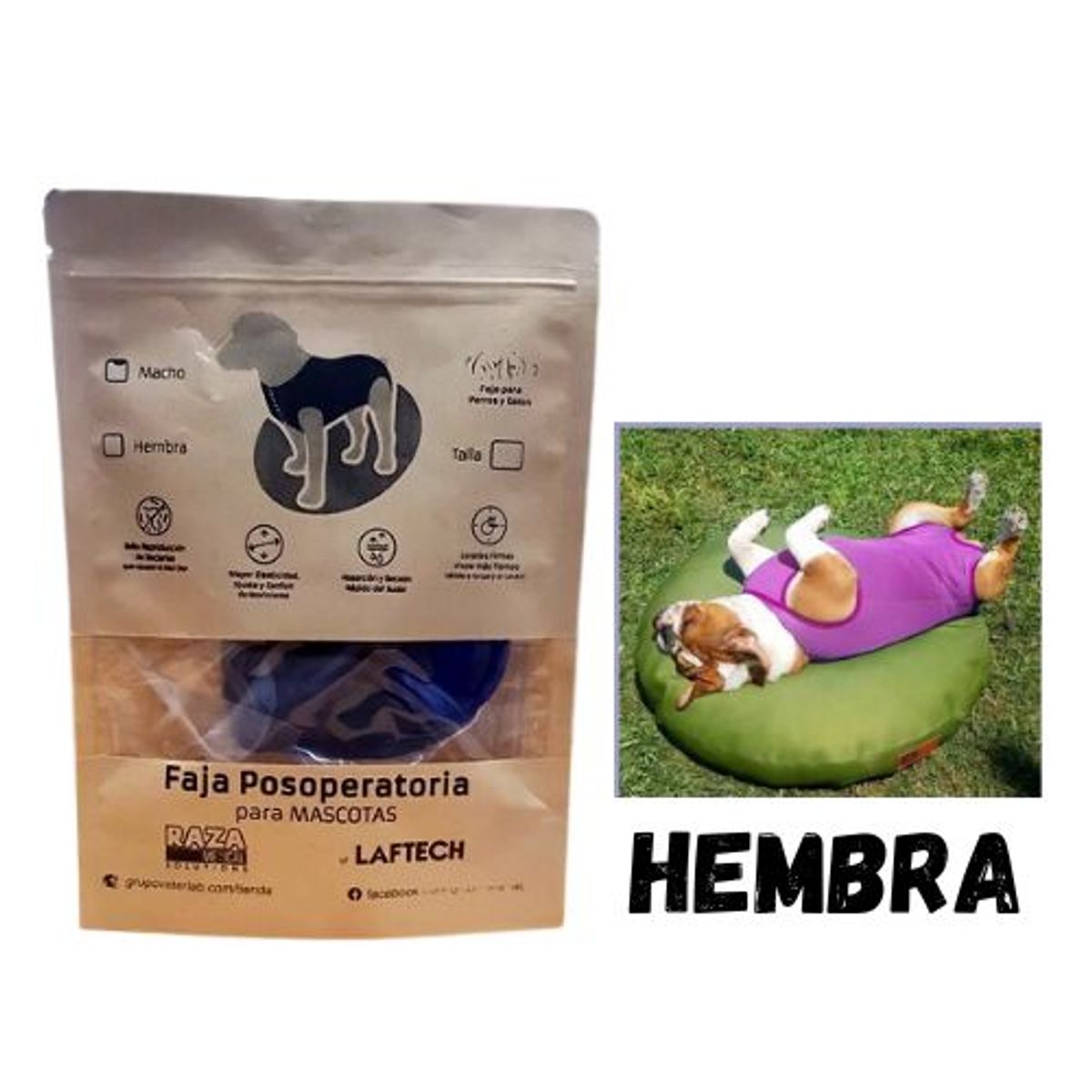 GENERICO - Faja Post Operatoria para mascota Talla 4 Hembra