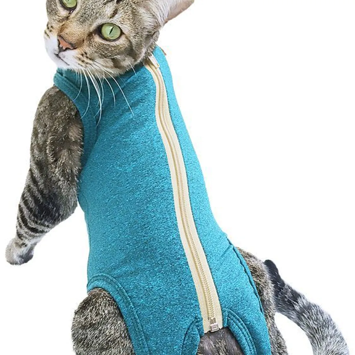 GENERICO - Faja Post Operatoria para mascota Talla 1 Macho