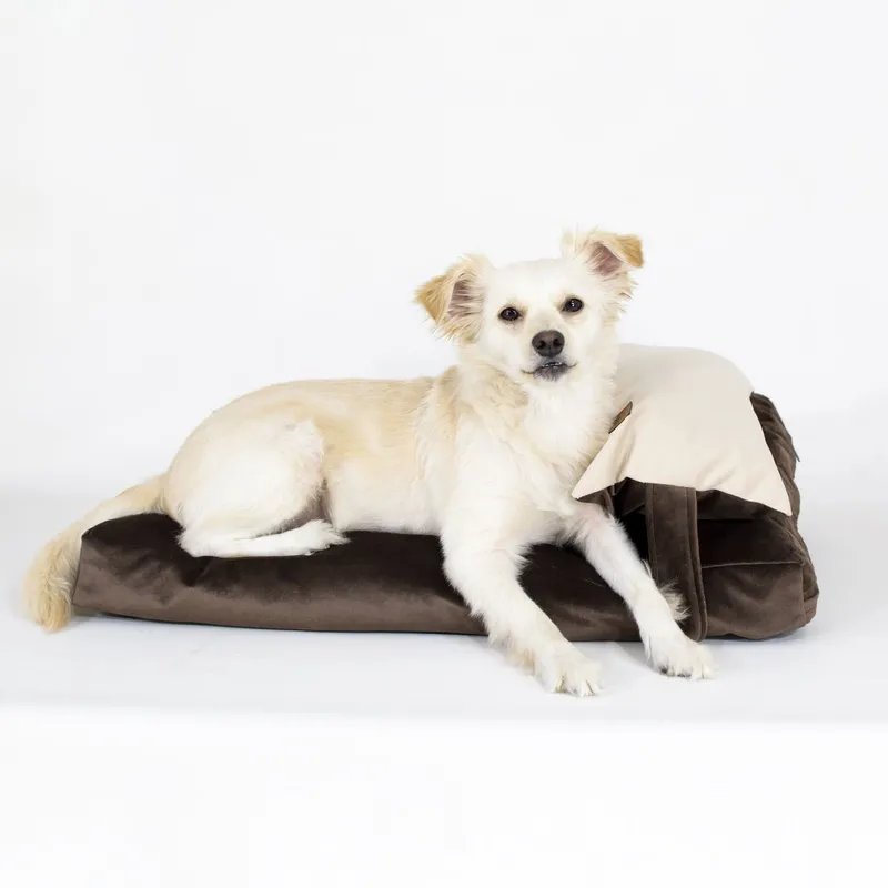 GENERICO - Cama Perro Cloud Marrón L