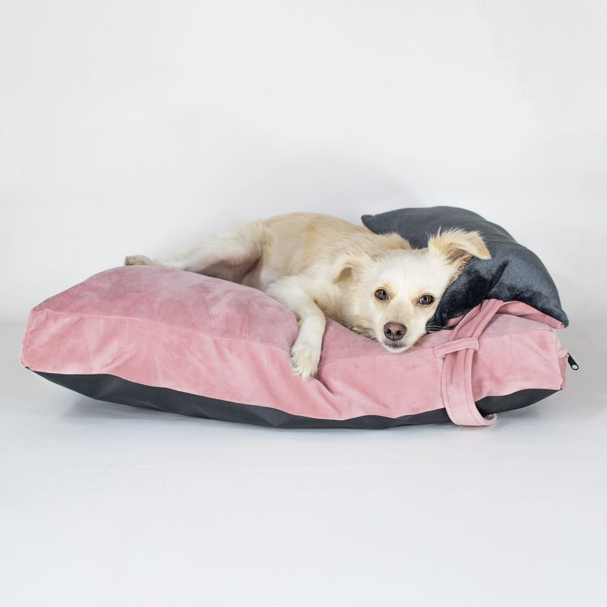 GENERICO - Cama Perro Cloud Rosa L