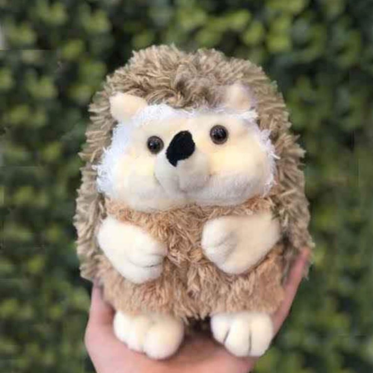 GENERICO - Peluche Erizo Pandora Home