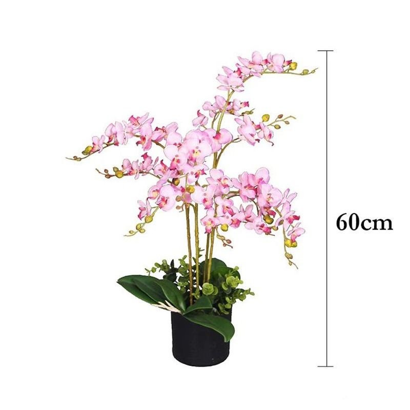 GENERICO - Planta orquidea rosada
