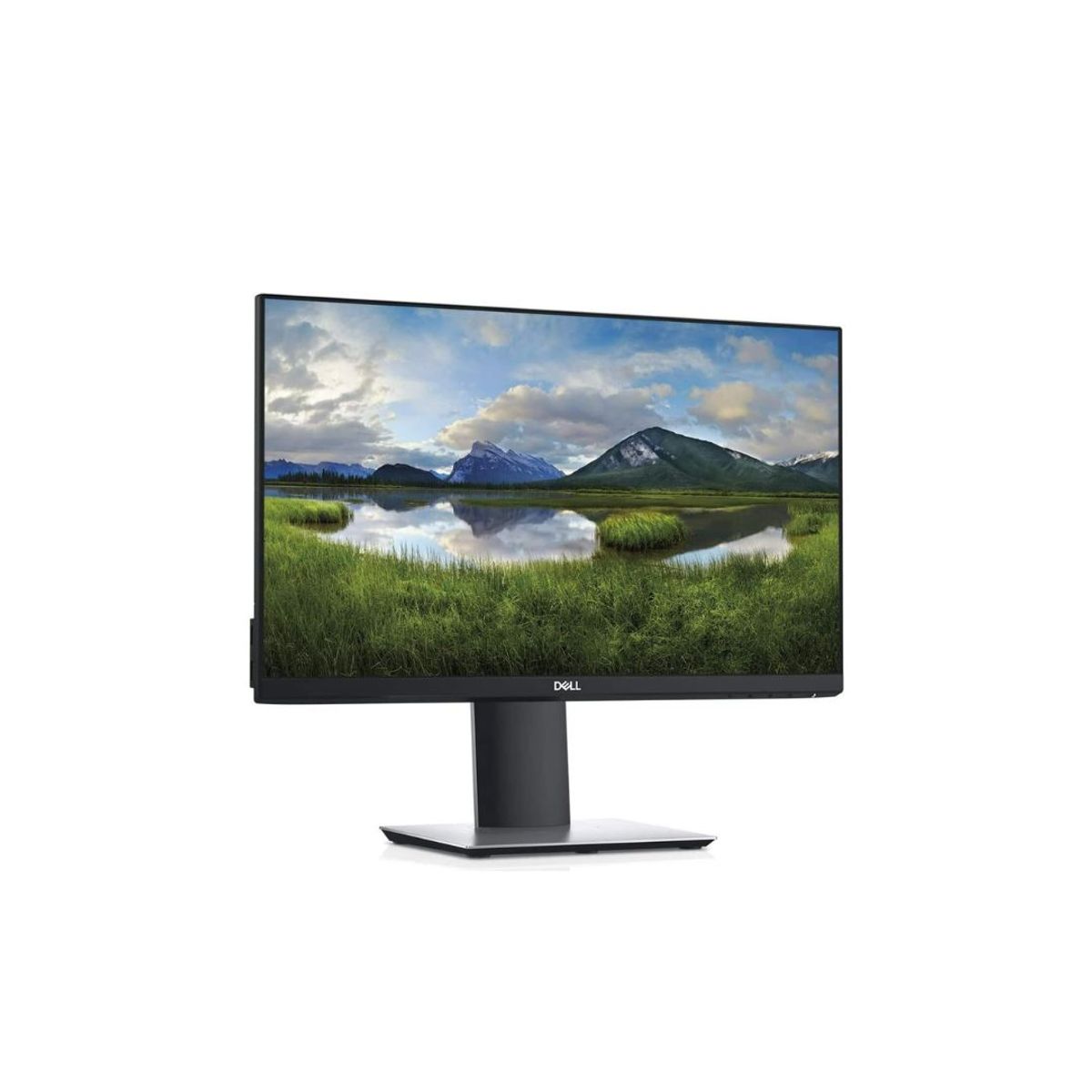 DELL - MONITOR DELL P2219H Pantalla LED 215 Reacondicionado