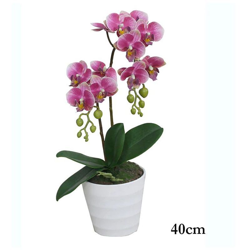 GENERICO - Planta orquídea 40 cm