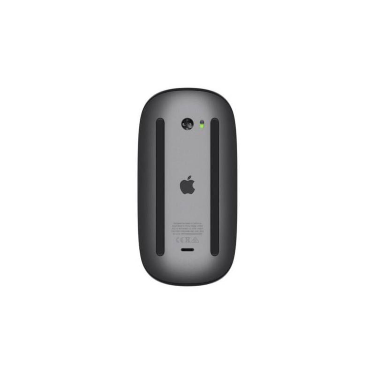 APPLE - Apple Magic Mouse 2 Gris Espacial