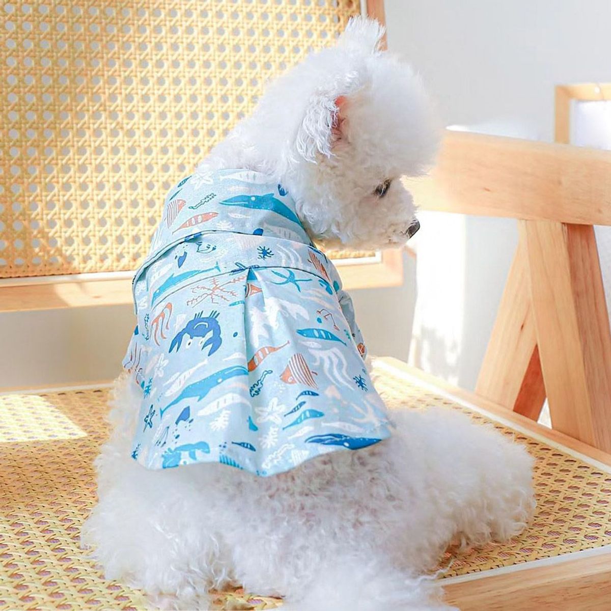 CAT OH - Ropa para perros Camisa ocean summer L