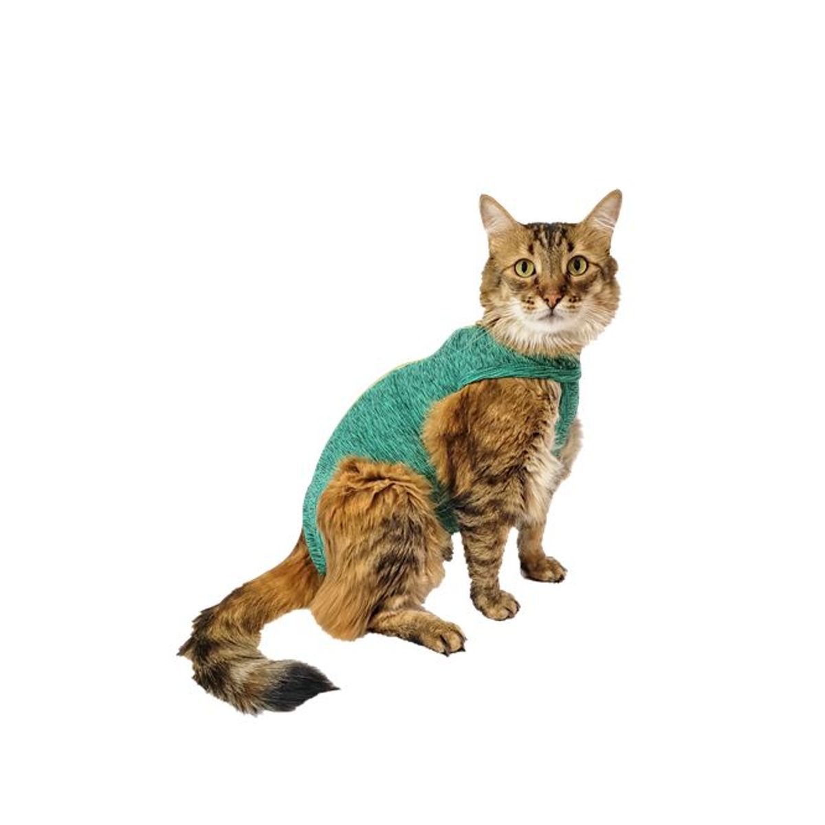 GENERICO - Faja Post Operatoria para mascota Talla 0 Macho