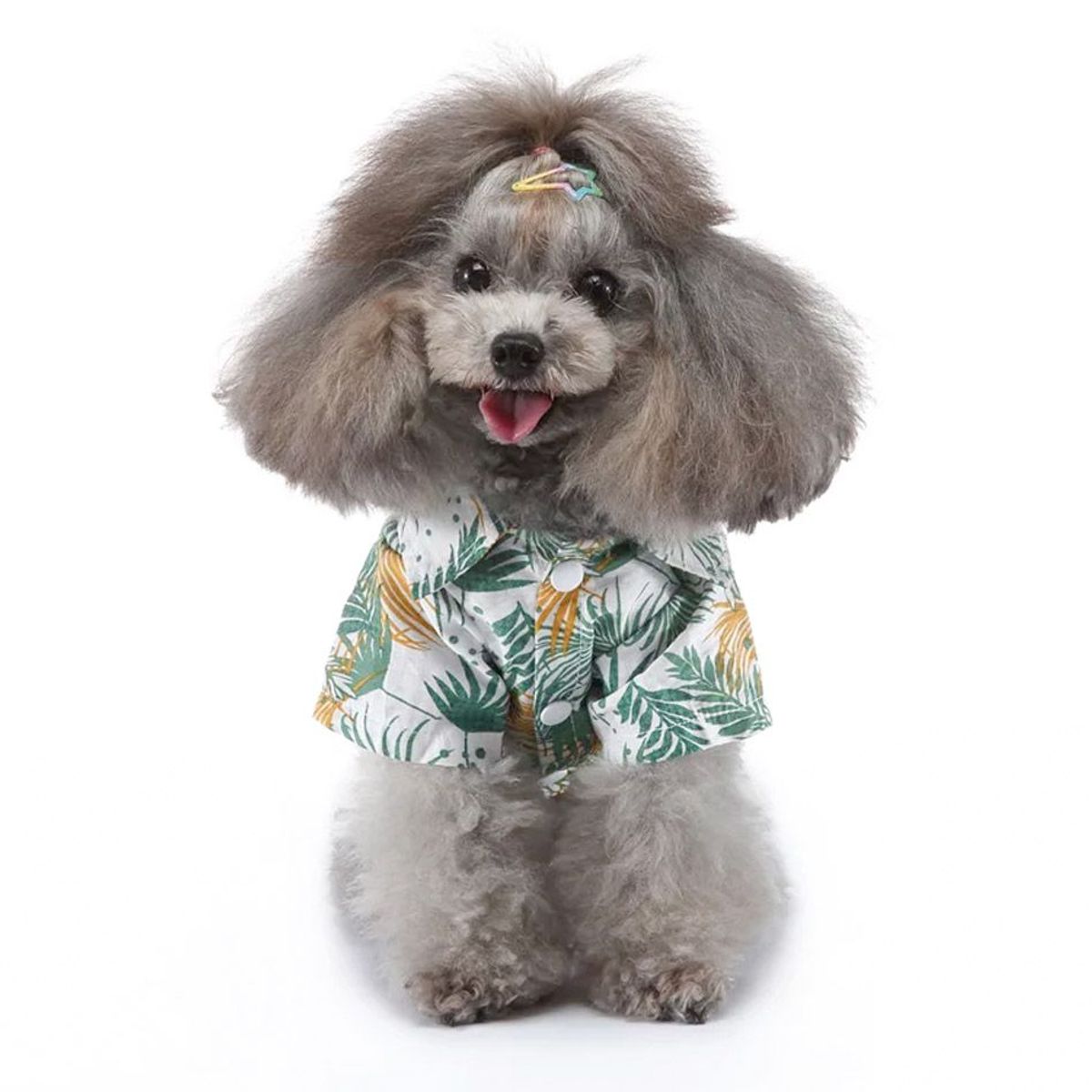 CAT OH - Ropa para perros Camisa hawaian L