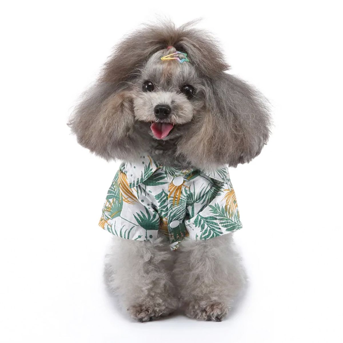 CAT OH - Ropa para perros Camisa hawaian XL