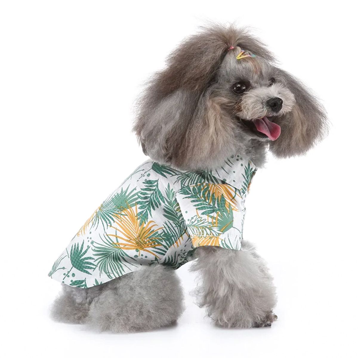 CAT OH - Ropa para perros Camisa hawaian XL