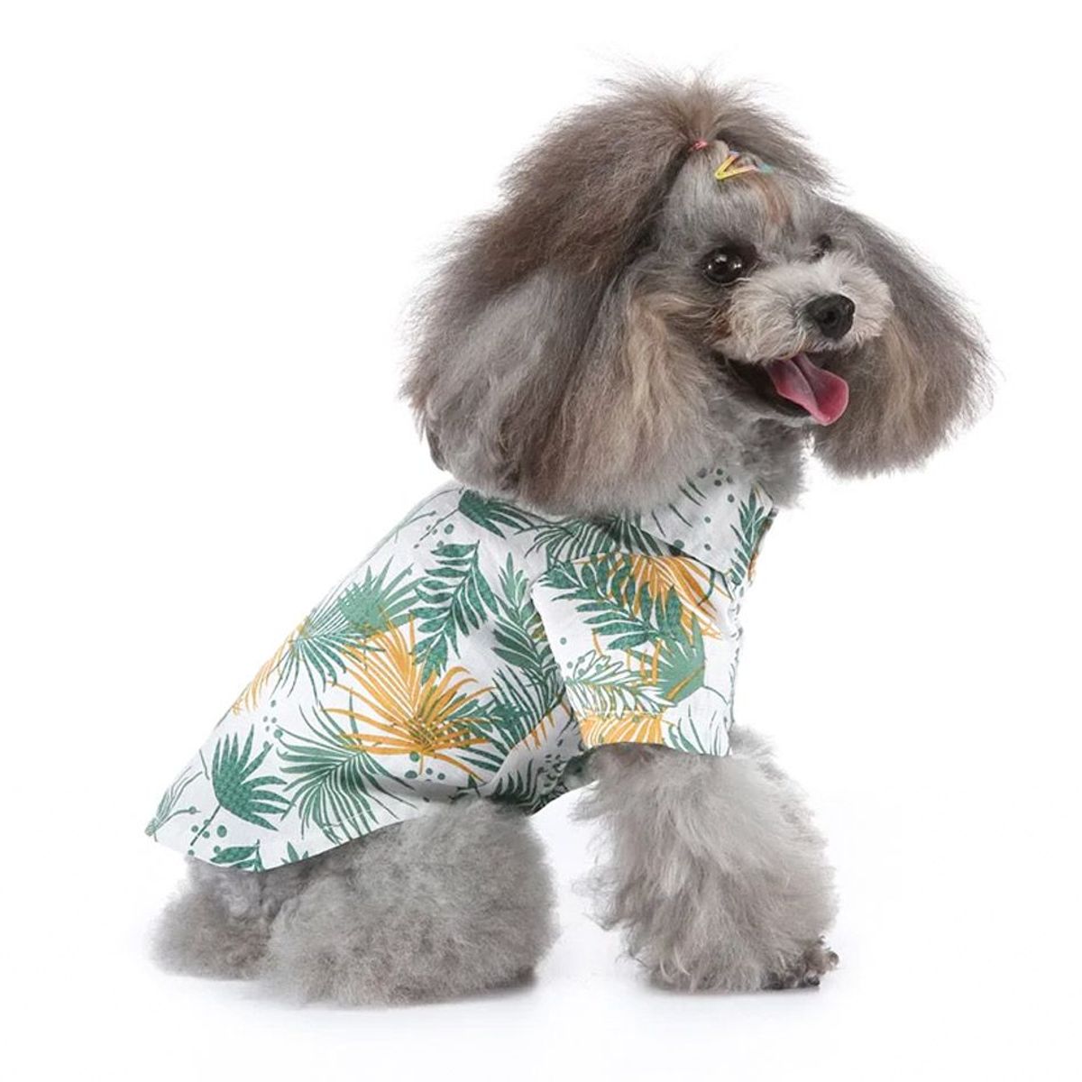 CAT OH - Ropa para perros Camisa hawaian S