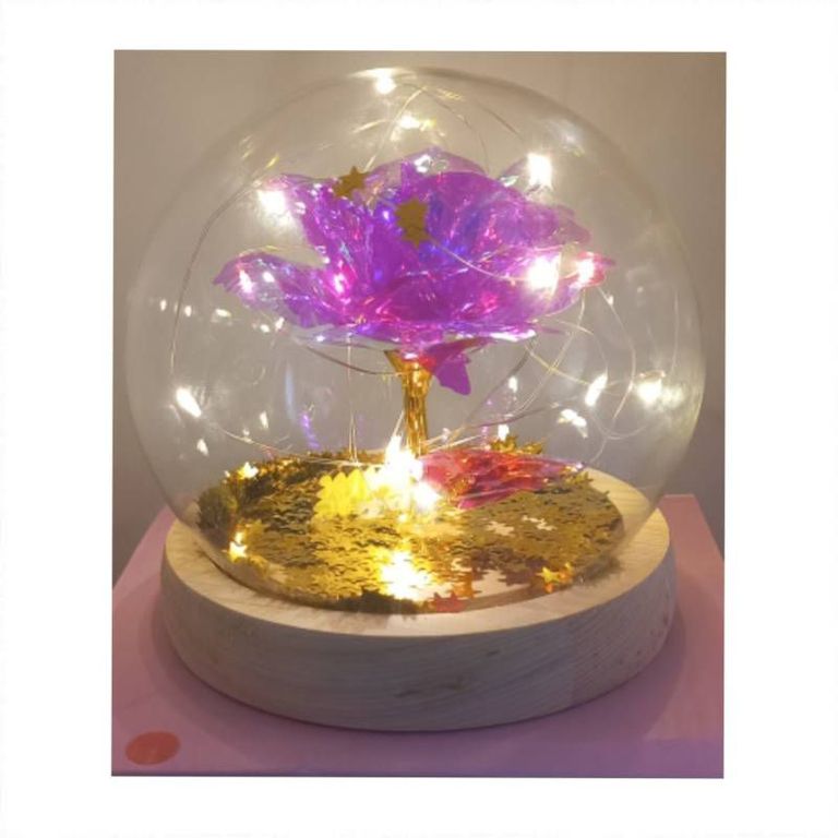 Rosa Eterna Luces Led Cúpula Vidrio Flor Eterna Artificial blanca ...