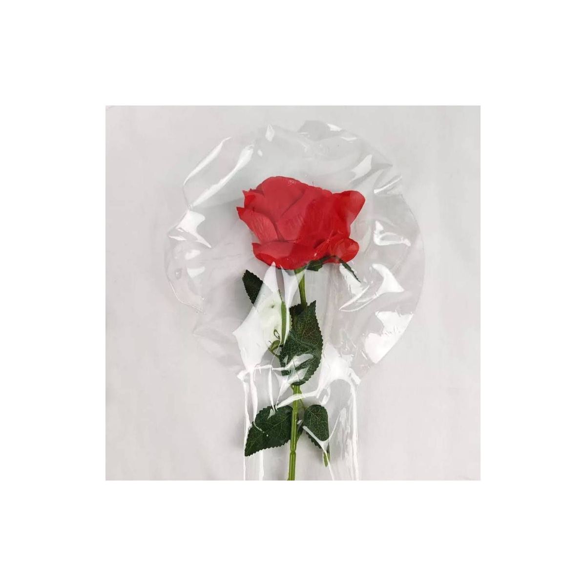 GENERICO - Globo Burbuja Con Rosa Eterna Regalo San Valentin Amor