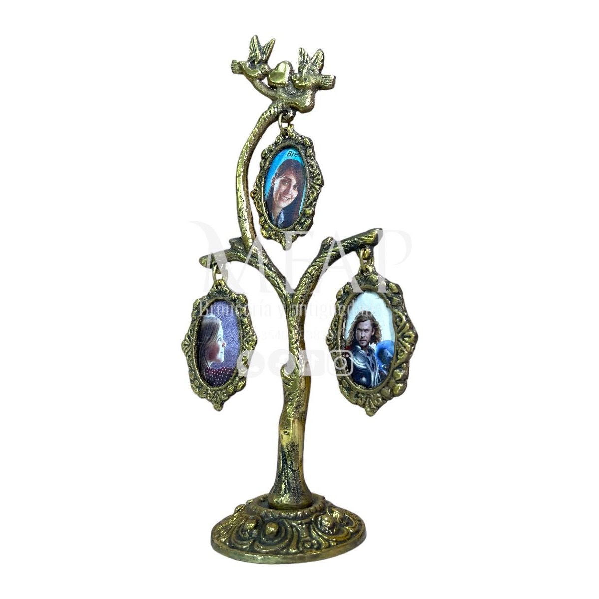 MFAP BRONCERIA Y ANTIGUEDADES - Árbol genealógico - 3 fotos