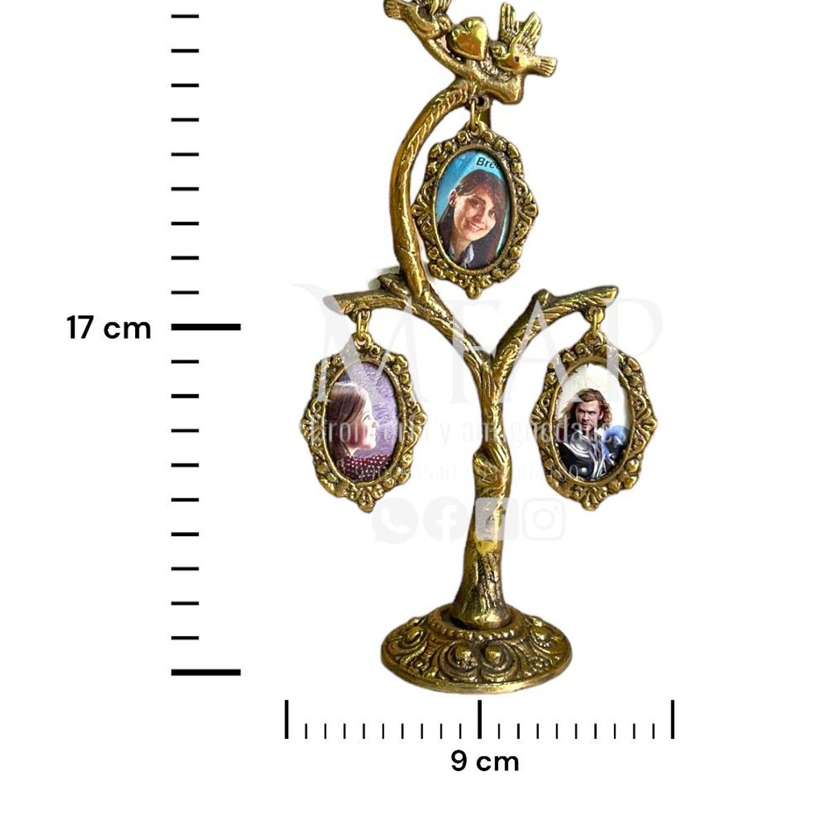 MFAP BRONCERIA Y ANTIGUEDADES - Árbol genealógico - 3 fotos