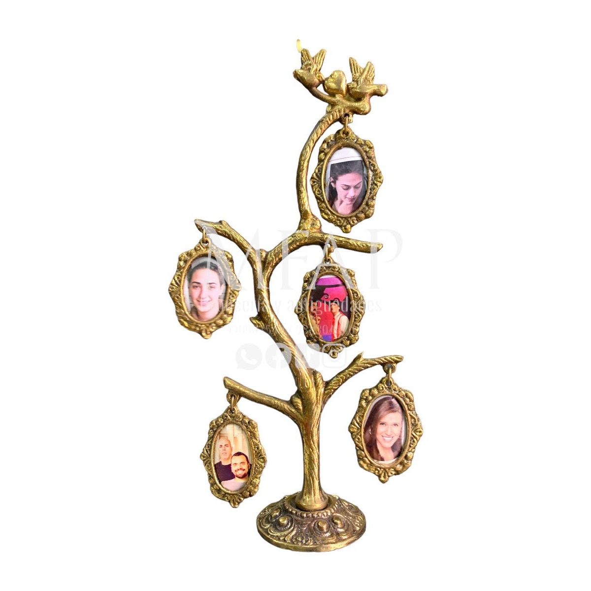 MFAP BRONCERIA Y ANTIGUEDADES - Árbol genealógico - 5 fotos