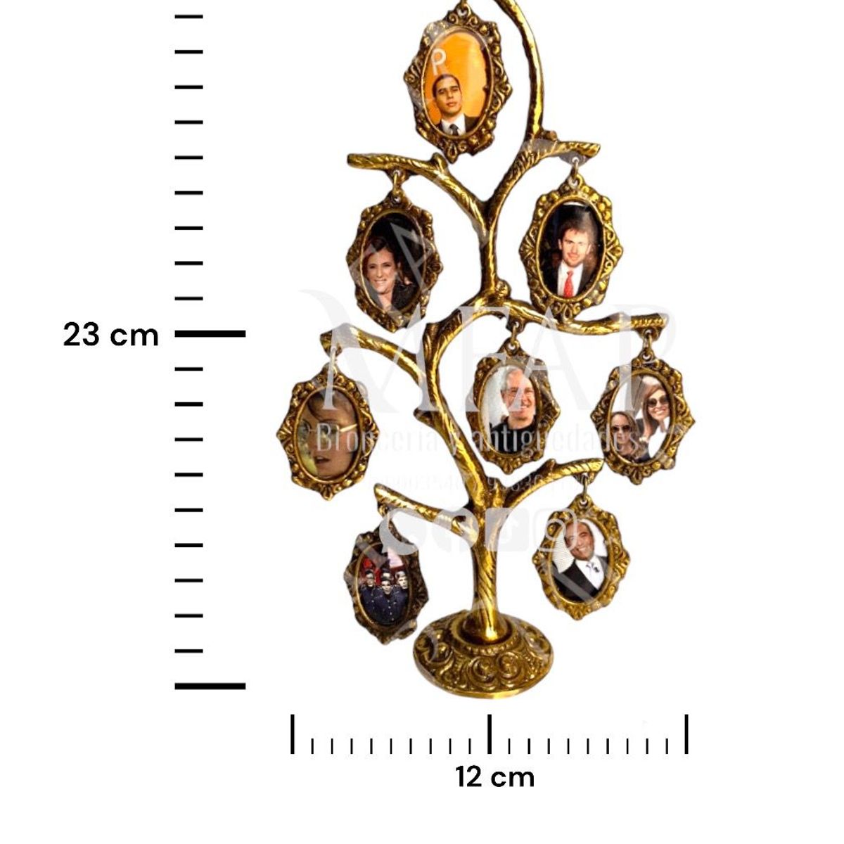 MFAP BRONCERIA Y ANTIGUEDADES - Árbol genealógico - 8 fotos