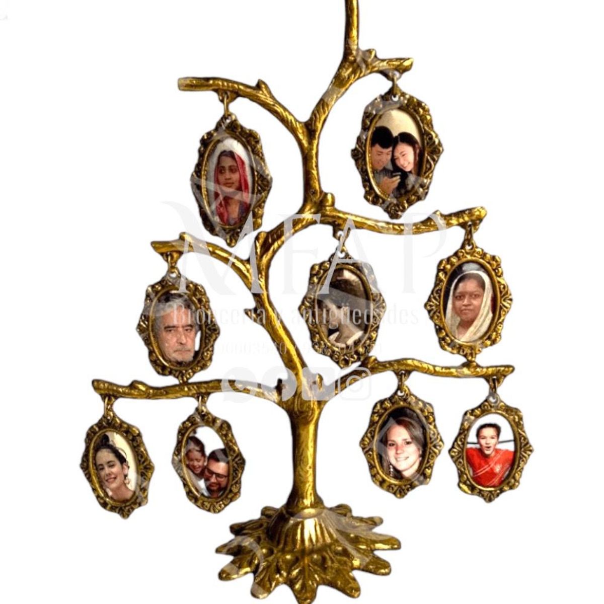 MFAP BRONCERIA Y ANTIGUEDADES - Árbol genealógico - 9 fotos