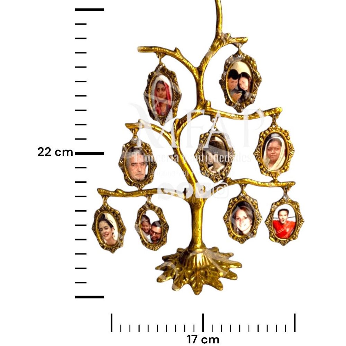 MFAP BRONCERIA Y ANTIGUEDADES - Árbol genealógico - 9 fotos