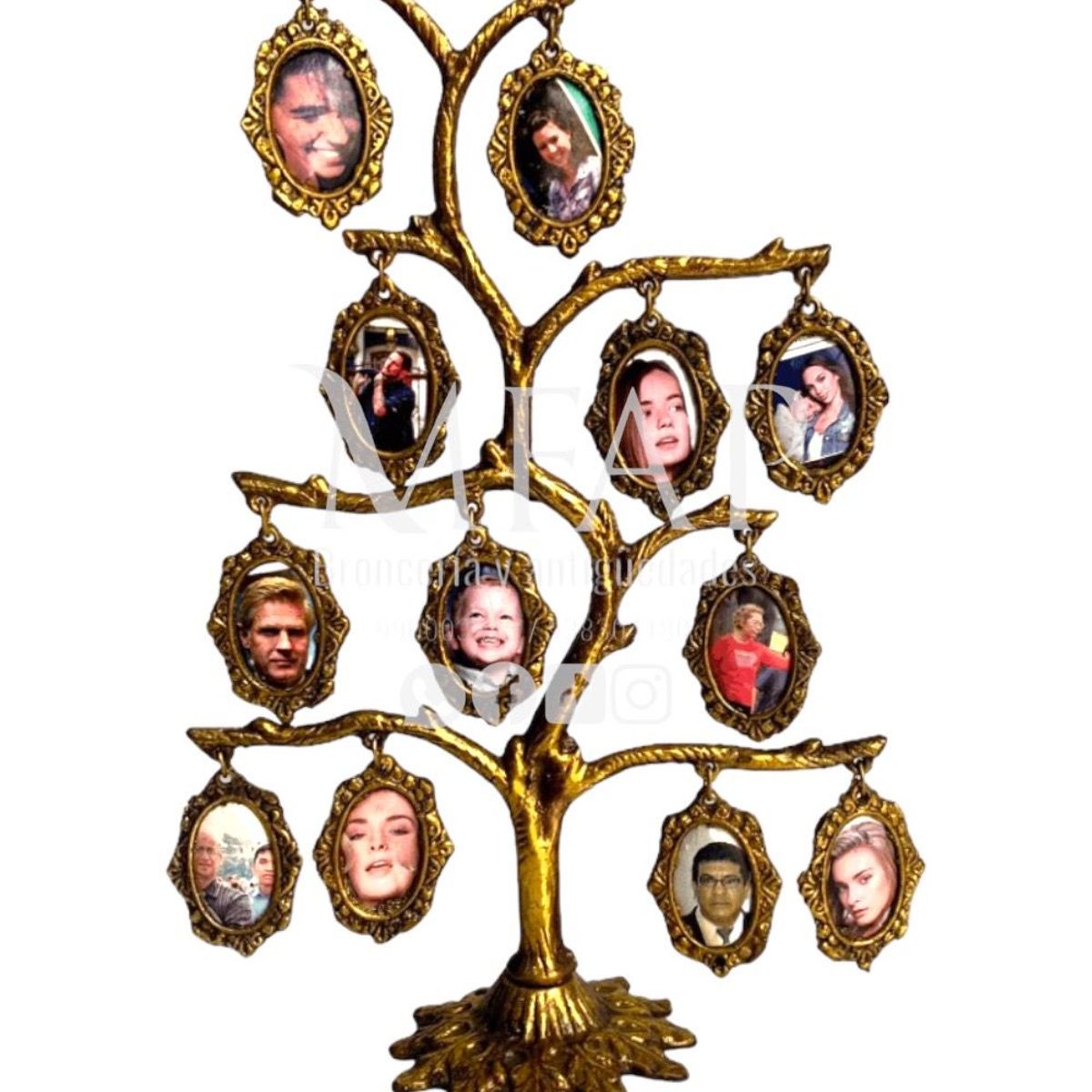 MFAP BRONCERIA Y ANTIGUEDADES - Árbol genealógico - 12 fotos