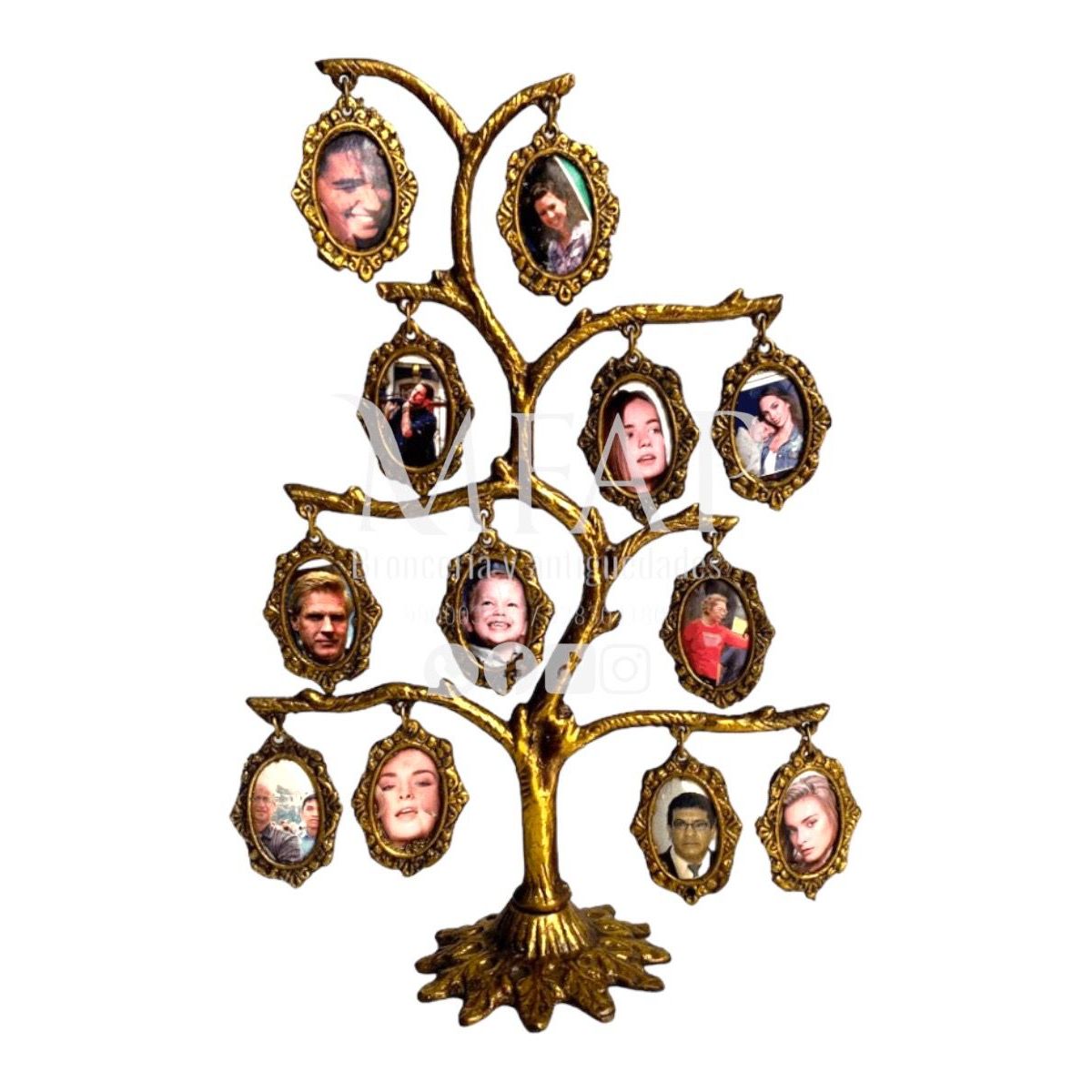 MFAP BRONCERIA Y ANTIGUEDADES - Árbol genealógico - 12 fotos