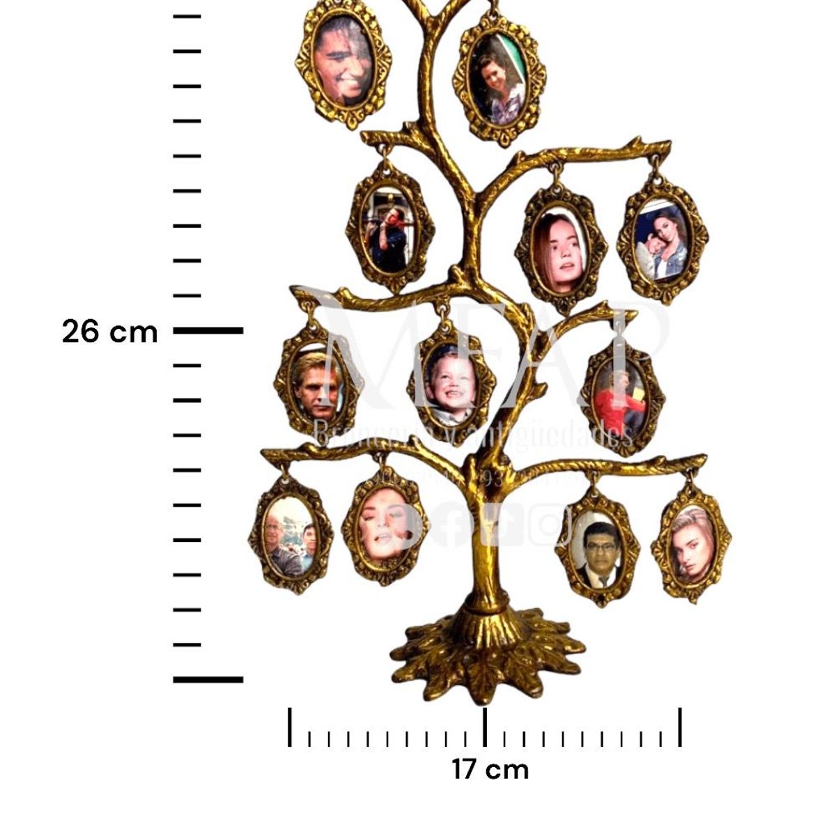 MFAP BRONCERIA Y ANTIGUEDADES - Árbol genealógico - 12 fotos