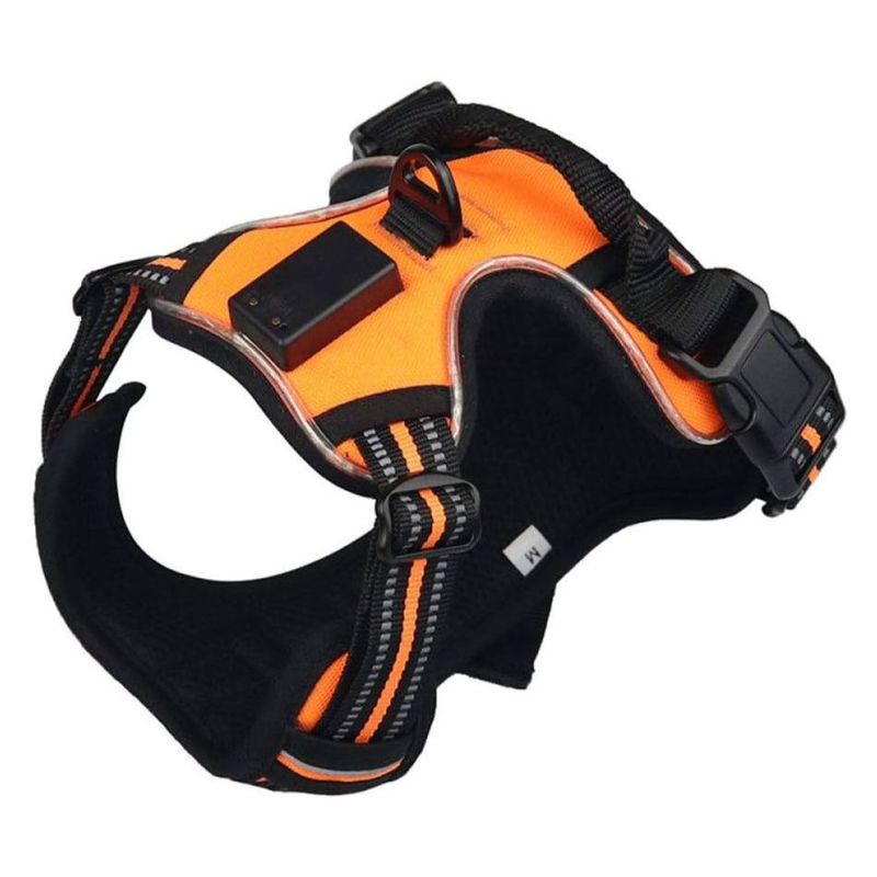 CAT OH - Arnés para perros LED Naranja M
