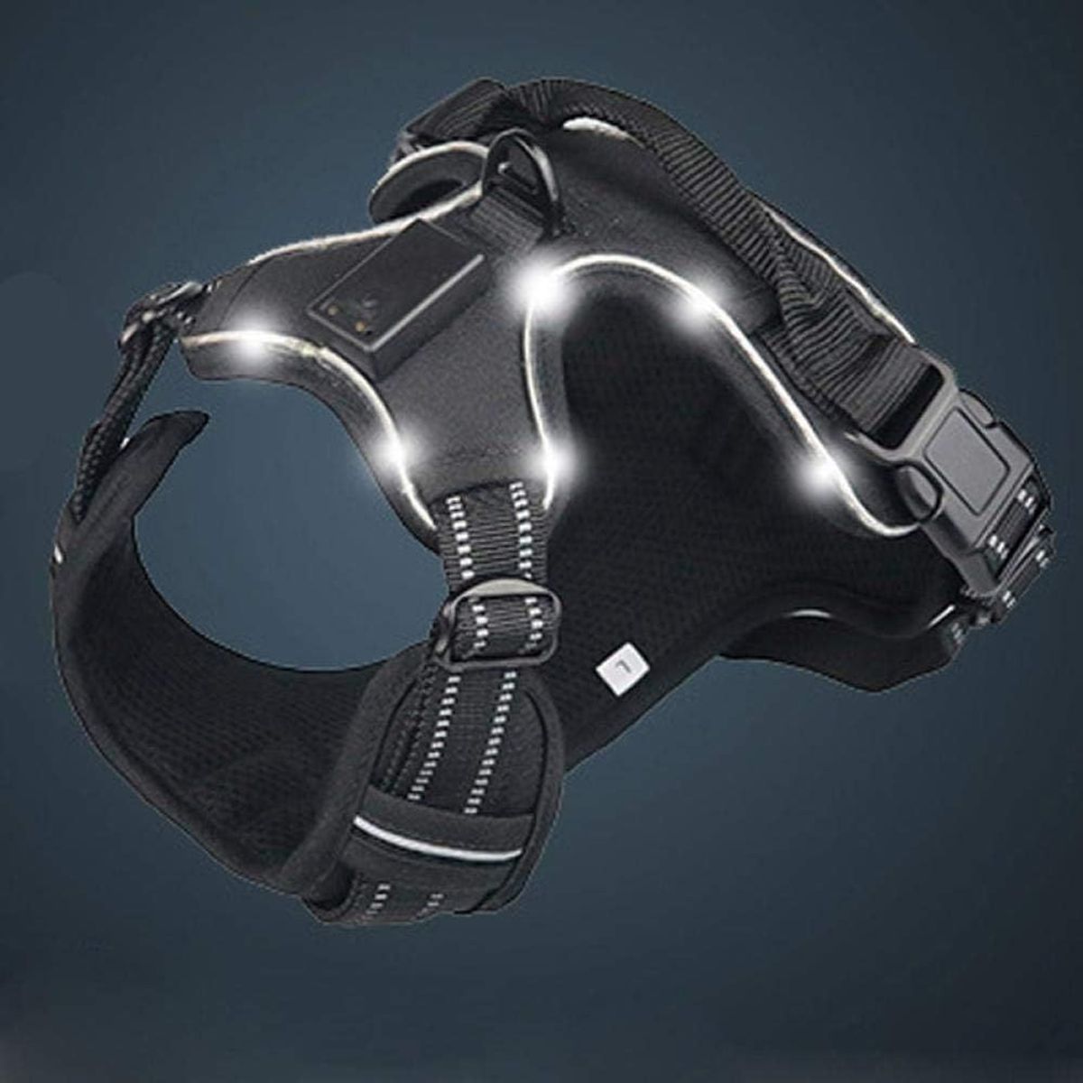 CAT OH - Arnés para perros LED Negro L