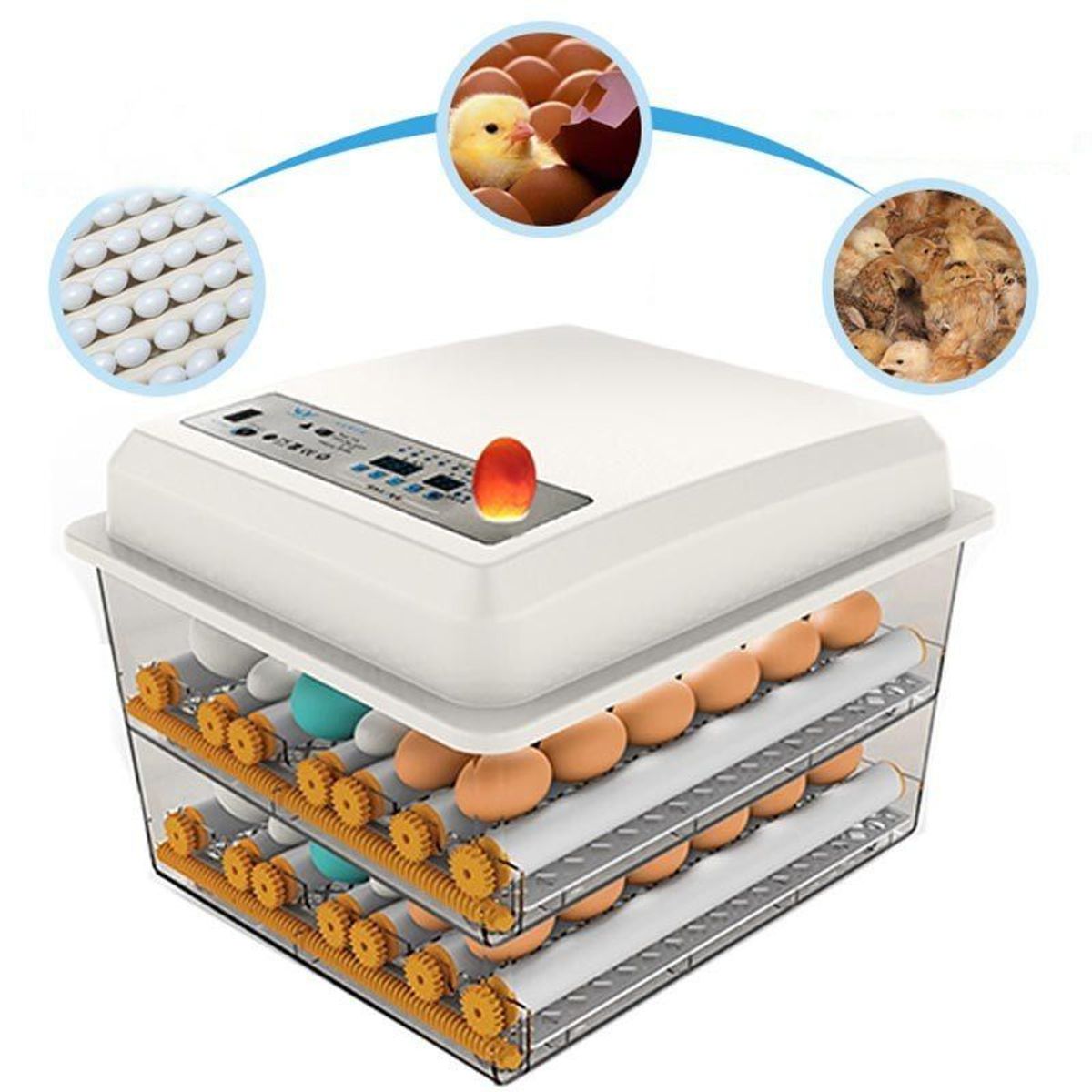 GENERICO - Incubadora Automática120 Huevos Dual 220v-12v