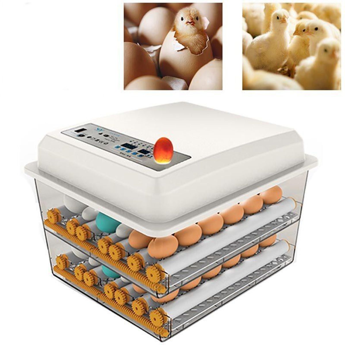 GENERICO - Incubadora Automática120 Huevos Dual 220v-12v