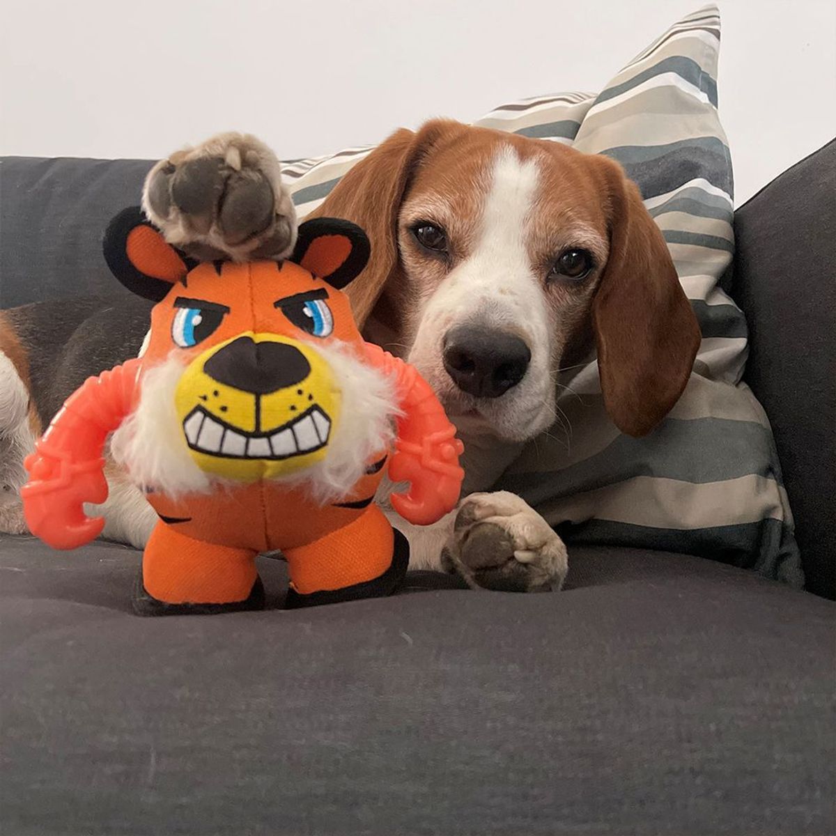 CROCI - Peluche Warriors Tiger