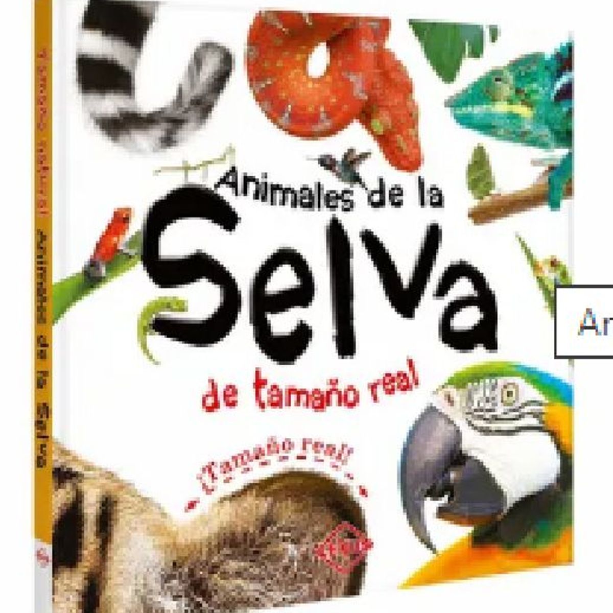 GENERICO - Libro Infantil Animales de la Selva de tamaño real