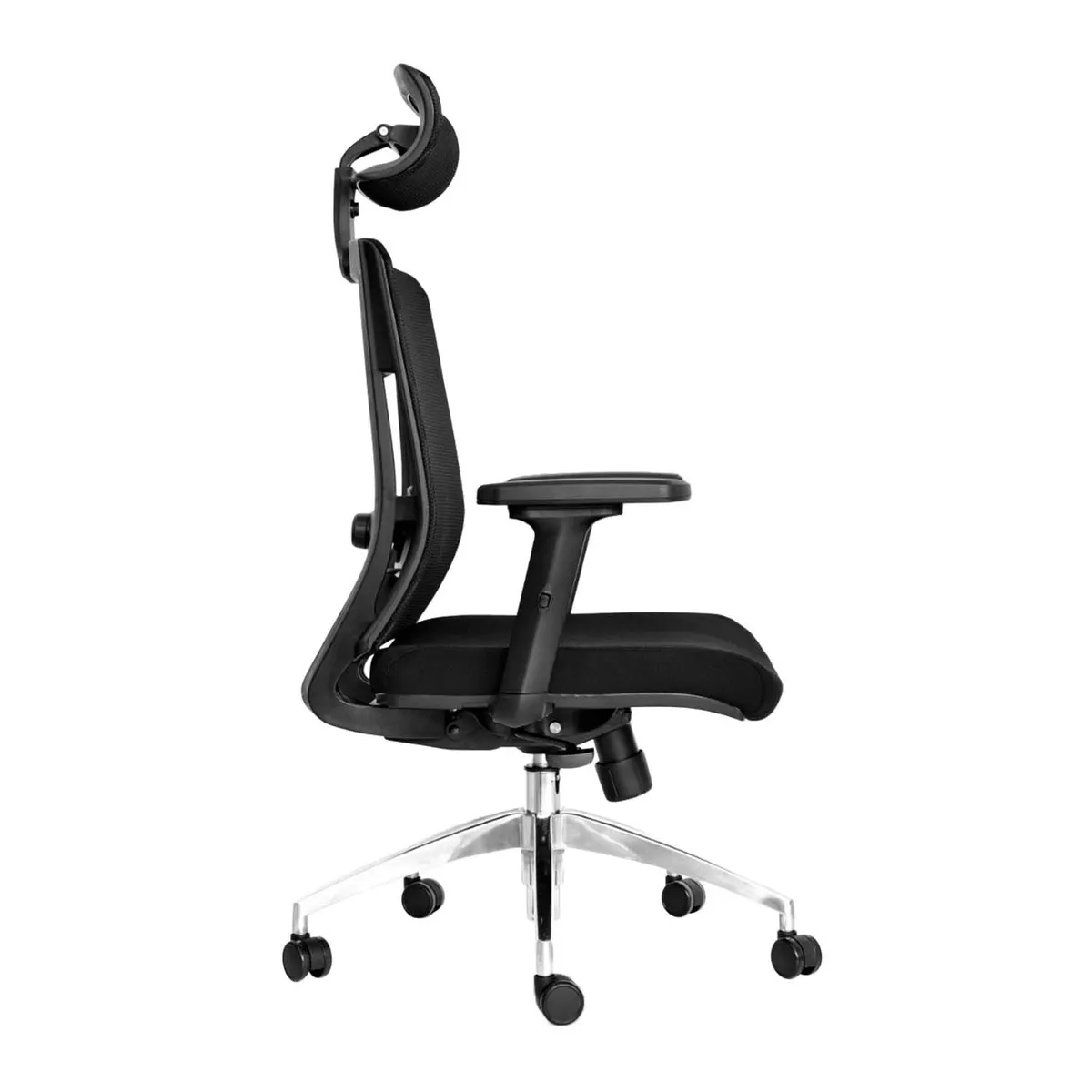COEA - Silla Giratoria De Oficina Ergonomica Coea Presidente Delphi Negro