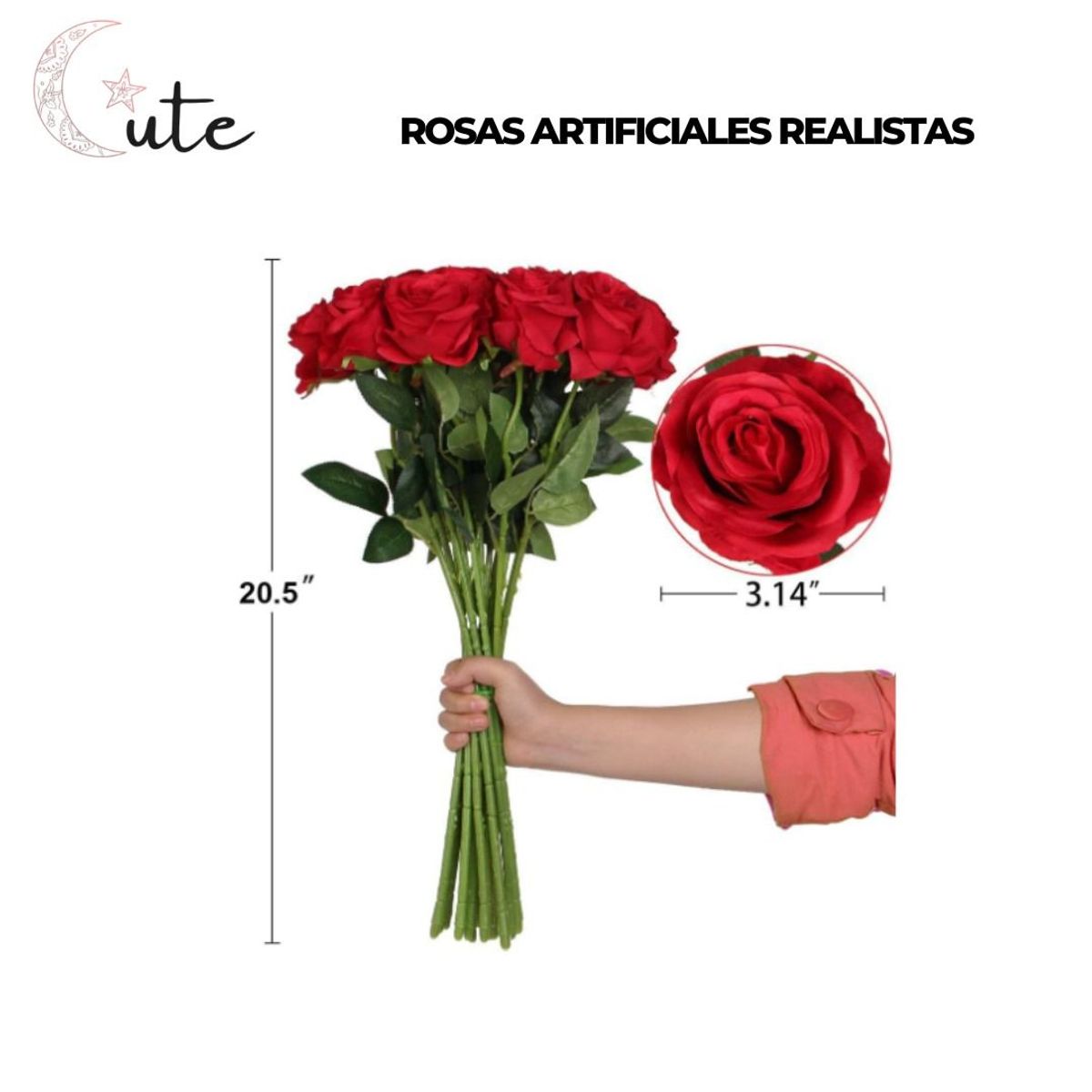 GENERICO - RAMO DE ROSAS 12 UNIDADES