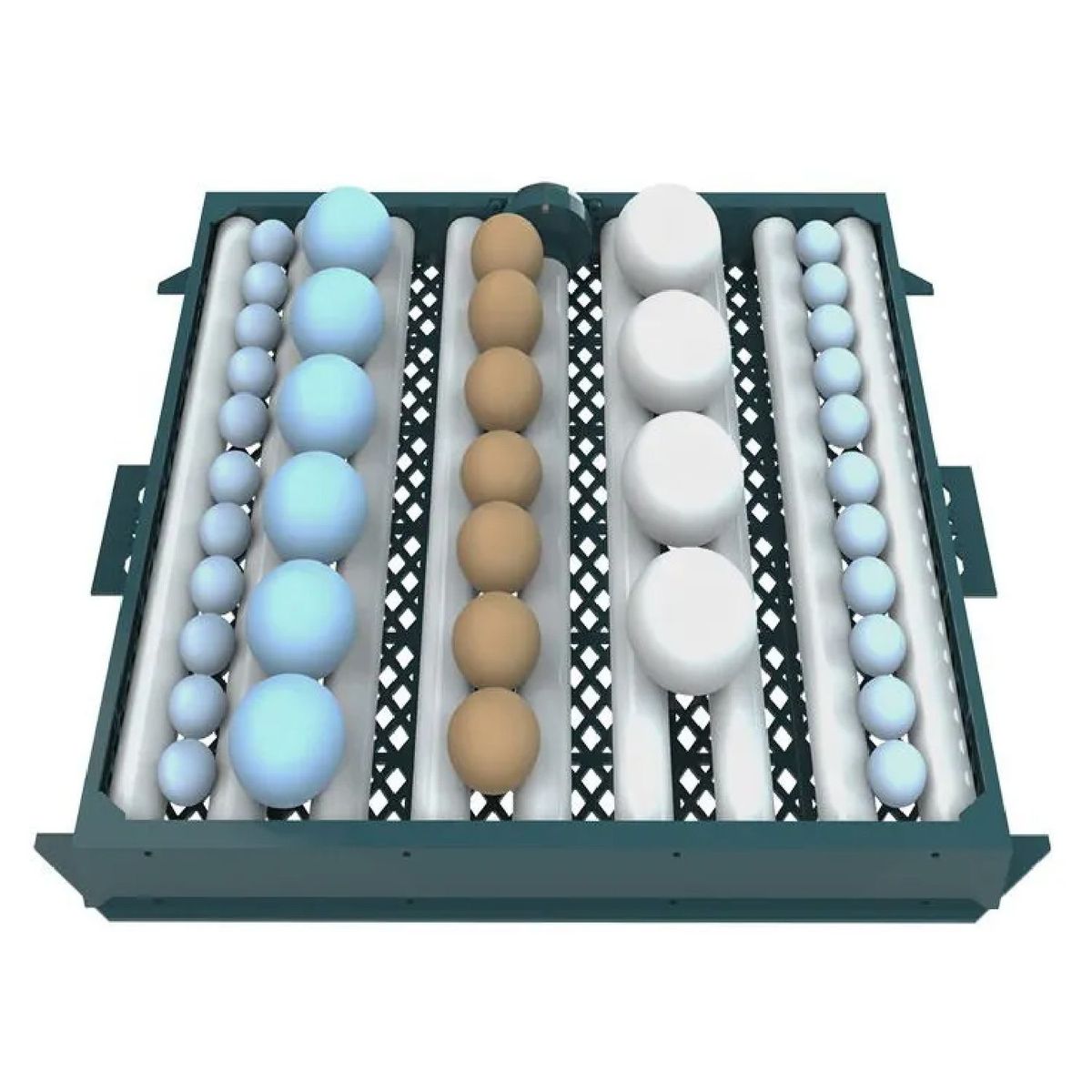 CAIM - INCUBADORA DE 64 HUEVOS MARCA CAIM INCUBADORAS